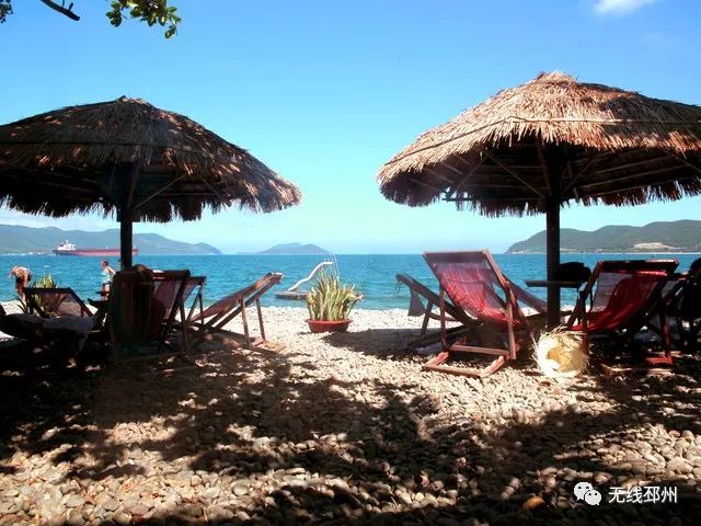 标哥带你去旅行直播,主播带你去旅行新闻稿