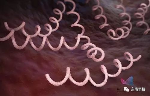 艾滋病传染途径占比最大的是,艾滋病都从哪些途径可以传染