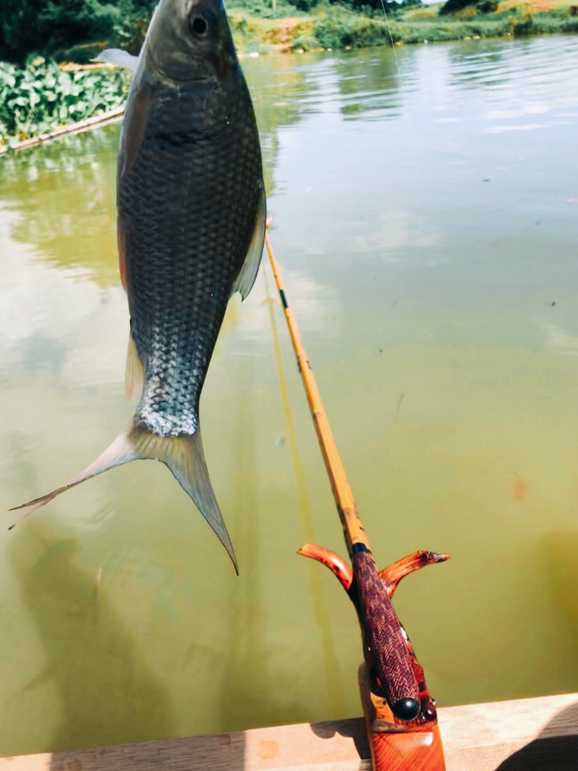 钓鱼装备全套小型鱼竿推荐,私人订制鱼竿路亚