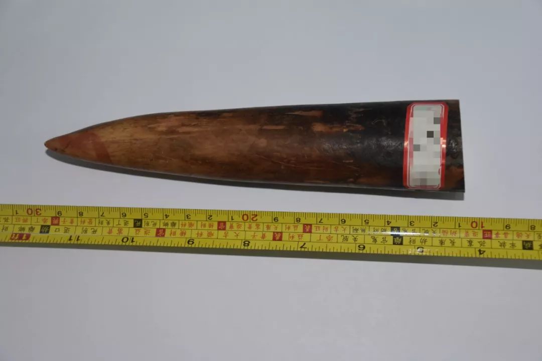 出国旅游“纪念品”别乱买！佛山一男子买了这东西后被刑拘！