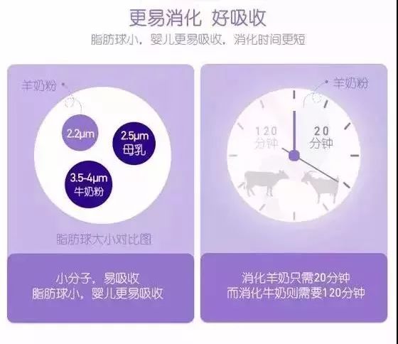 风很大美赞臣,风很大的国产奶粉