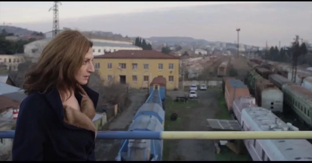 上个月又错过这么多好电影，豆瓣全部7分以上