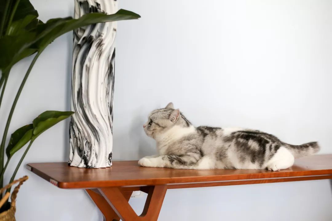 古法风戒指,法式红复古银戒指