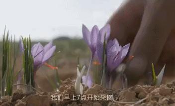 有了它睡眠才会更好,有了它可以让你每天多睡一小时