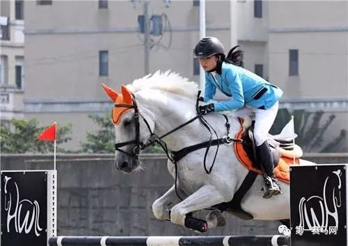 「特稿」赴台自由行被紧急叫停，两岸马术沟通或受较大影响