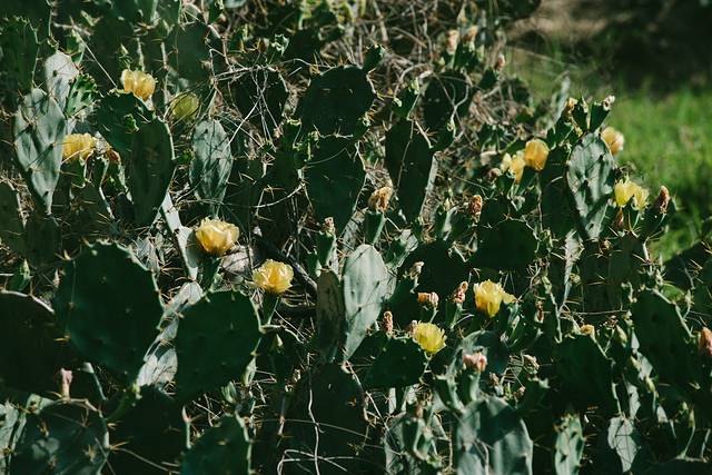 大陆之南，粤西越美，被旅行者轻忽的处女地——雷州半岛