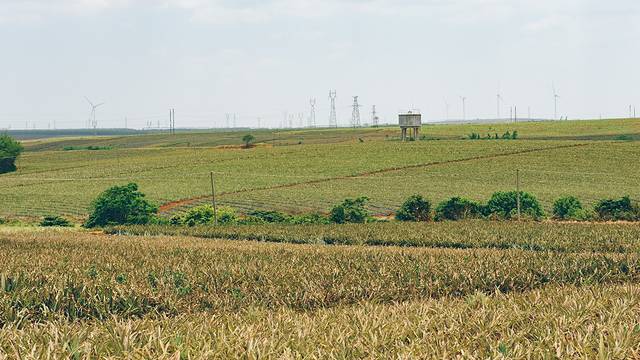 大陆之南，粤西越美，被旅行者轻忽的处女地——雷州半岛