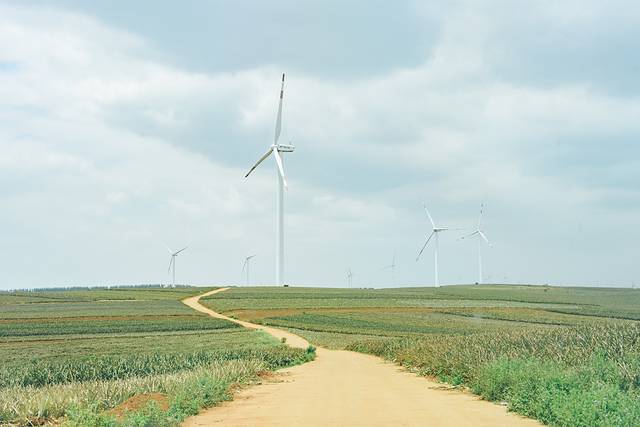 大陆之南，粤西越美，被旅行者轻忽的处女地——雷州半岛