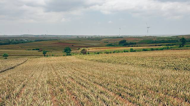 大陆之南，粤西越美，被旅行者轻忽的处女地——雷州半岛