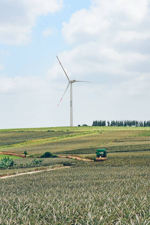 大陆之南，粤西越美，被旅行者轻忽的处女地——雷州半岛