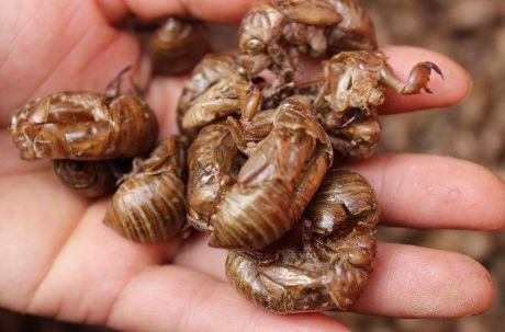 足癣药膏一天涂几次较好,湿疹性皮炎涂了一次药没效果