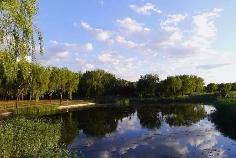 亦庄公园好玩的地方,亦庄附近公园免费景点