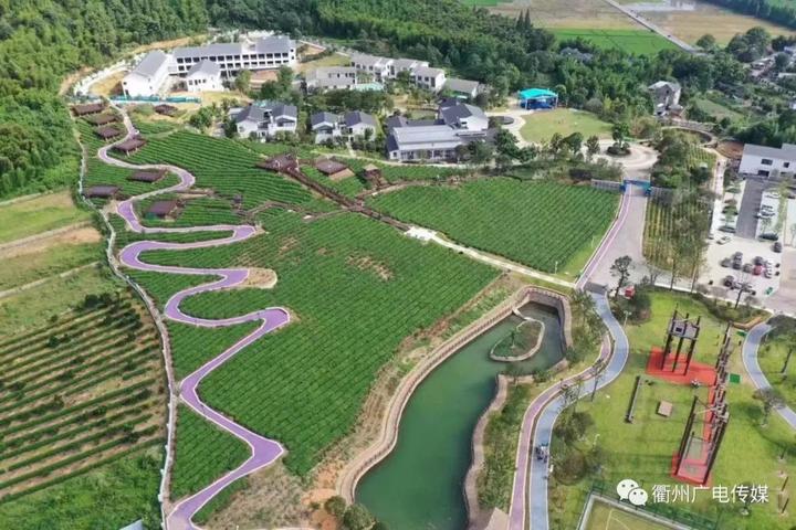 衢州重点项目投资一千亿,衢州投资120亿文旅