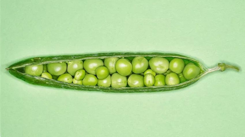 企业是如何变得臃肿的,公司如何解决肥胖问题