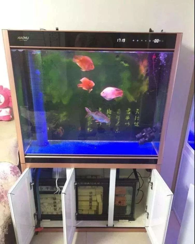 亚克力透明板干湿分离,亚克力干湿分离板用多厚的