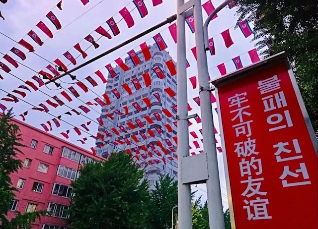 年中盘点：习主席创下的外交新纪录