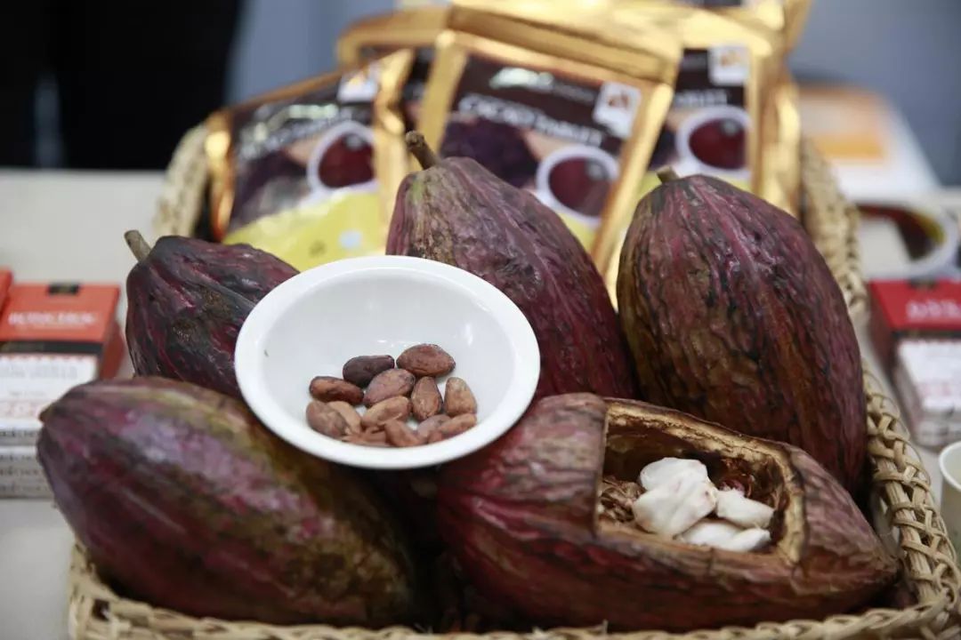 菲律宾在中国进口什么农产品,菲律宾农产品十大排名