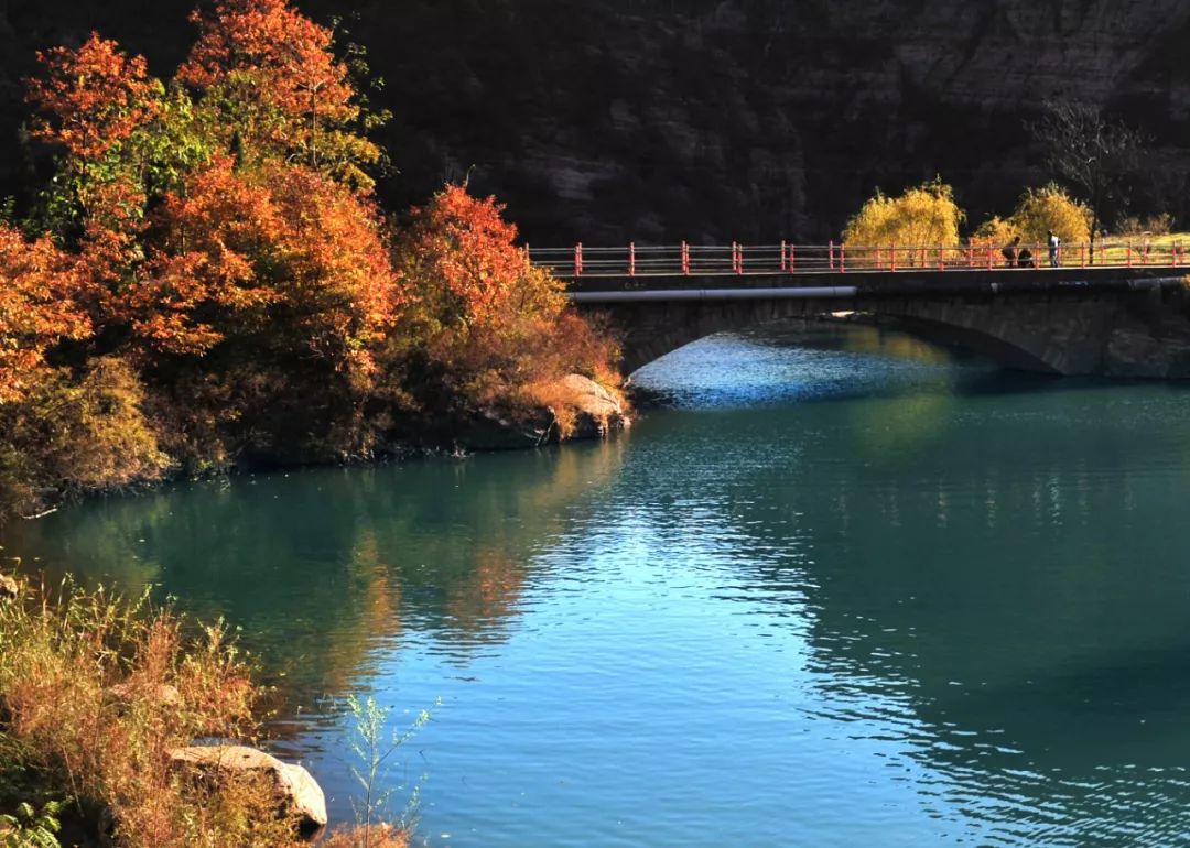 2022洛阳免费景区,一月洛阳景区免门票怎么操作