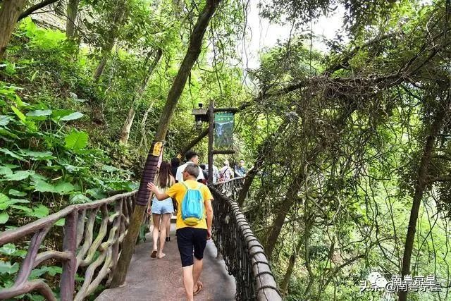 清凉一夏打卡,广东清凉好去处古龙峡
