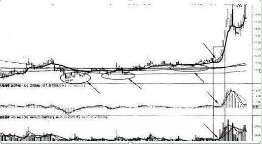 徐翔怎么躲过黑天鹅事件,私募大佬徐翔传奇