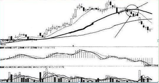 徐翔怎么躲过黑天鹅事件,私募大佬徐翔传奇