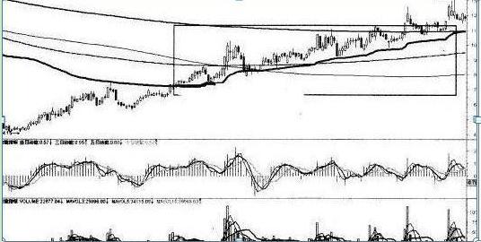 徐翔怎么躲过黑天鹅事件,私募大佬徐翔传奇