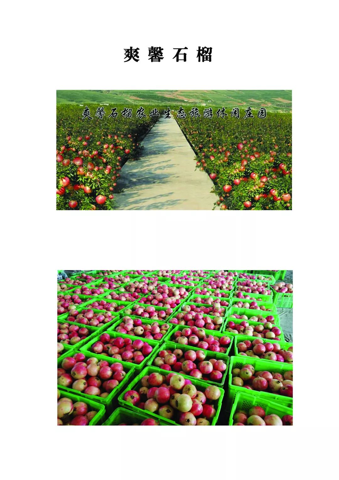 宾川县城加油,宾川加油站活动