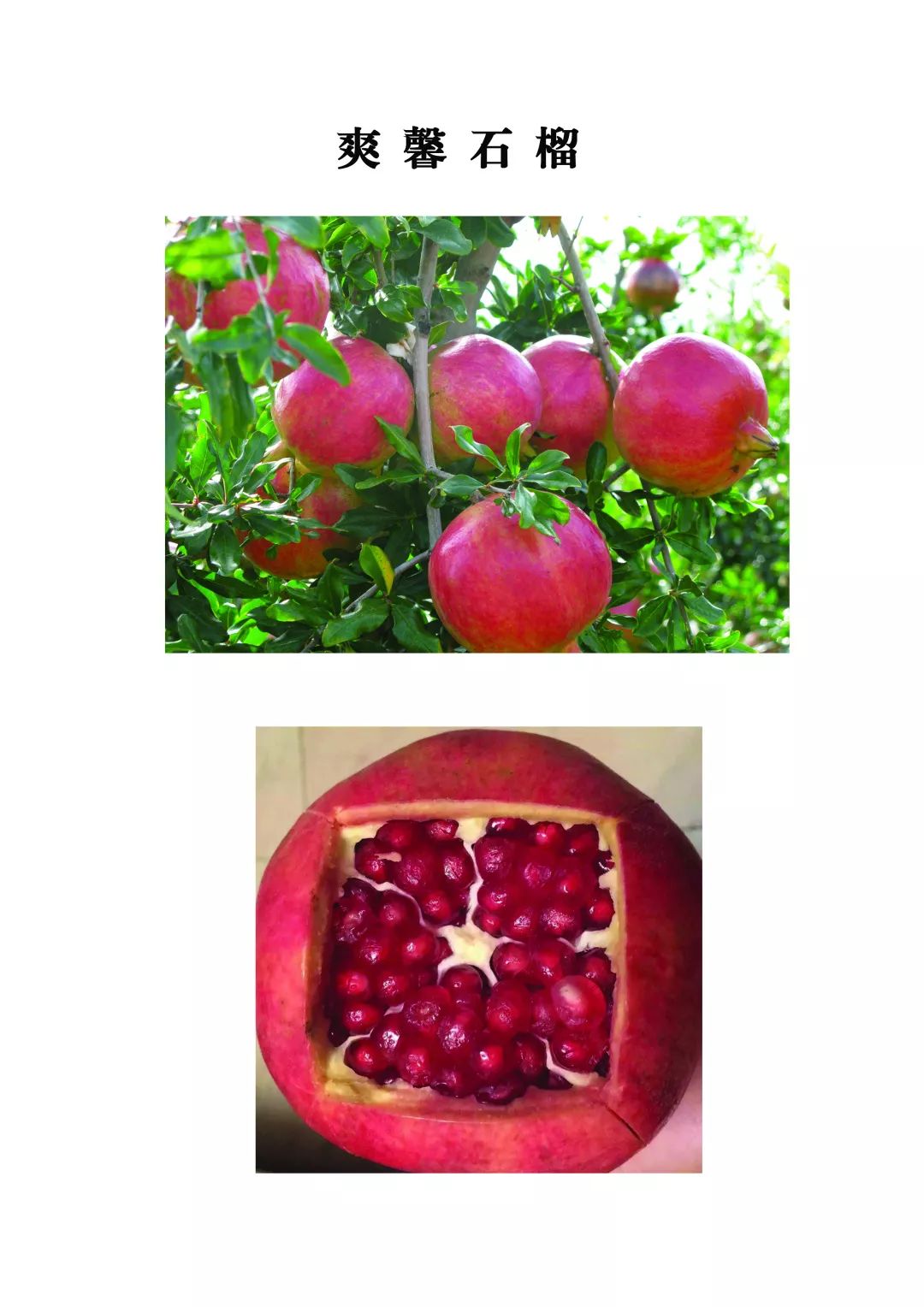 宾川县城加油,宾川加油站活动