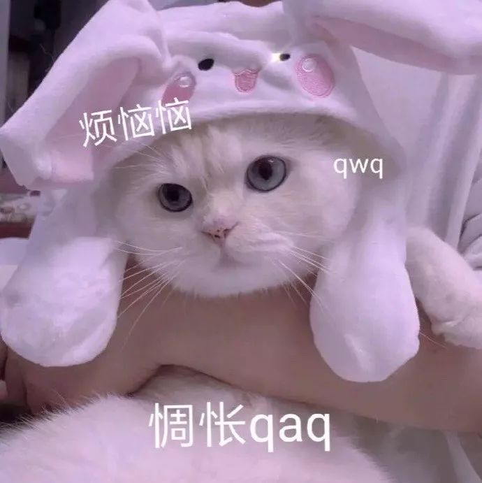 倪妮同款英伦鞋,倪妮同款鞋推荐