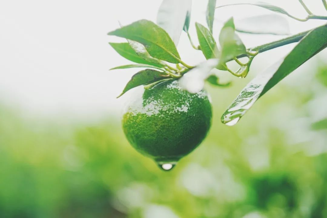 8月好物,八月好物推荐橱窗