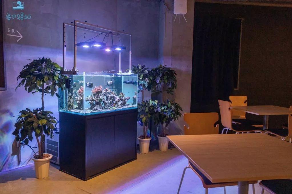 2019年我大学毕业后在日本开个海水店