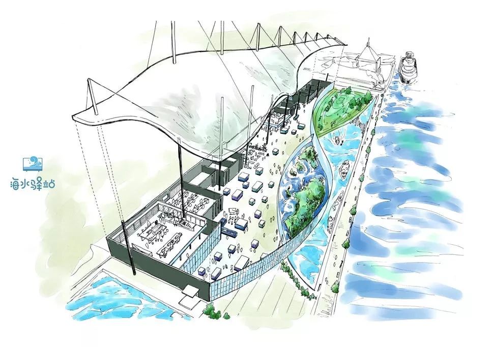 2019年我大学毕业后在日本开个海水店