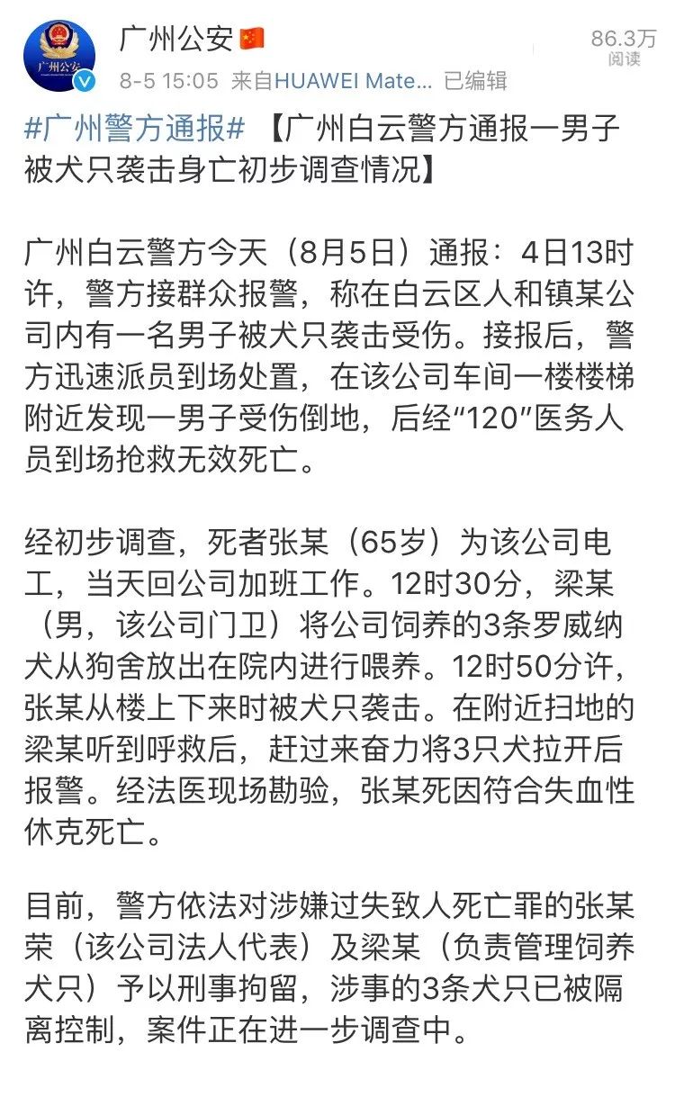 宠物犬被恶犬袭击怎么自救,男子路遇恶犬被咬了一口