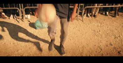 创下票房奇迹的超级大片,创造票房奇迹电影