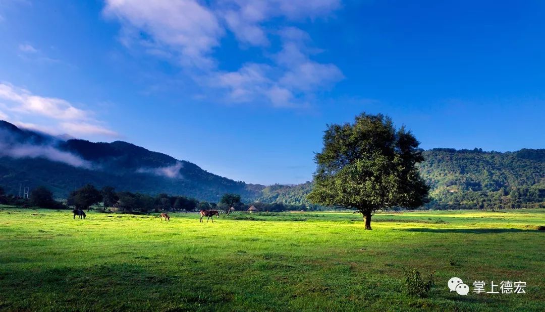 老钏“晒”作品！一个被足球耽误了的德宏摄影师