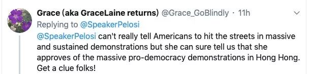 深扒操盘乱港内幕！挖出了这个美国基金会