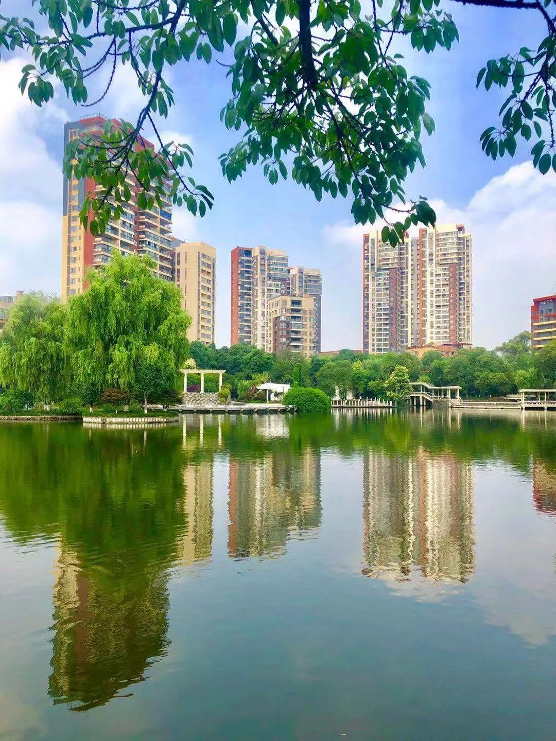 青白江健身训练营,八月健身馆