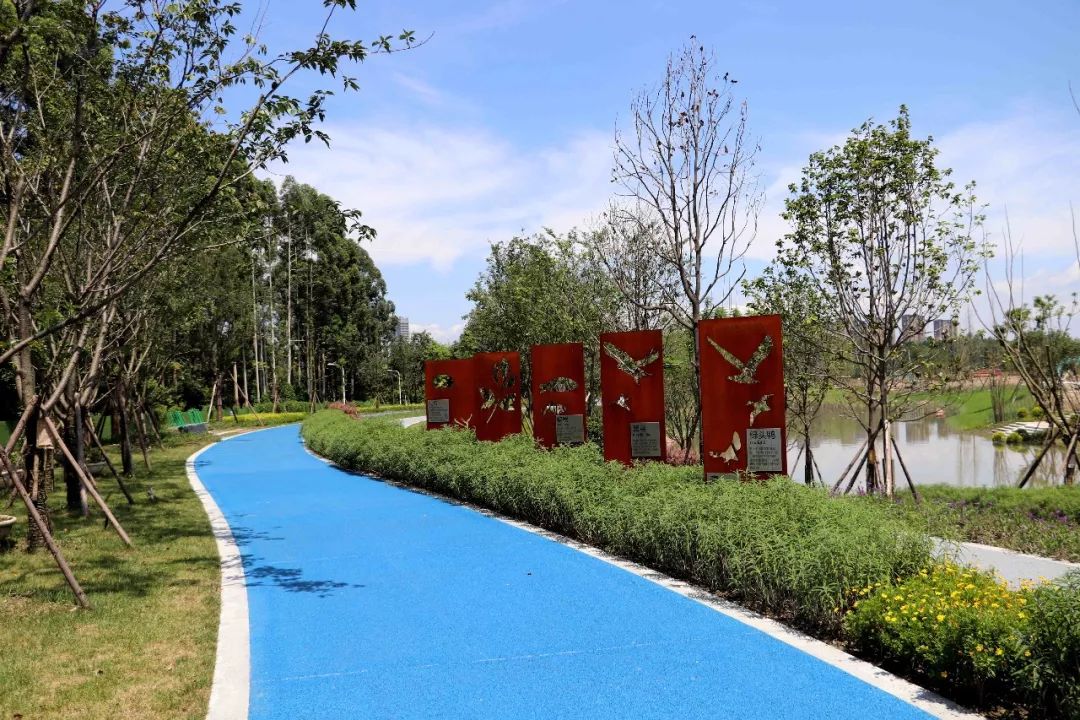 青白江健身训练营,八月健身馆