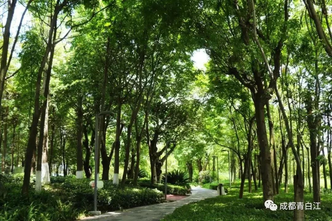 青白江健身训练营,八月健身馆