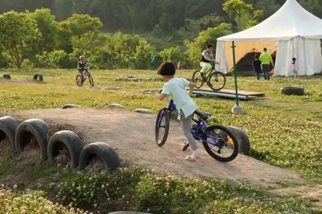 青白江健身训练营,八月健身馆