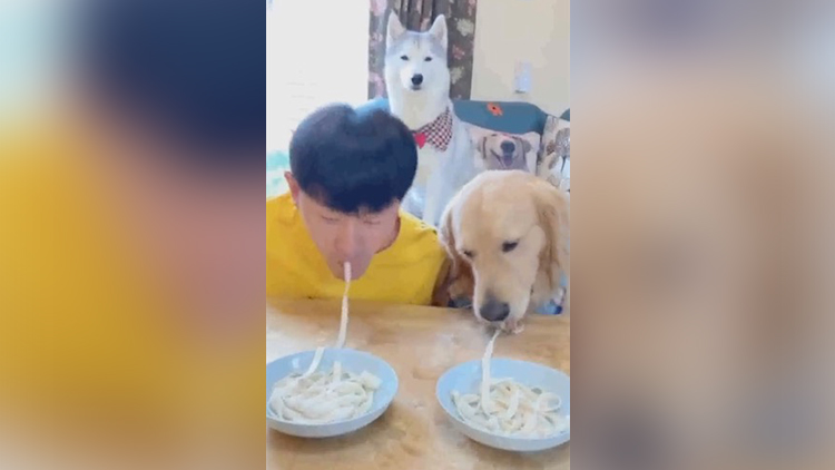 冠军服装售假金额达25万,假冒冠军服饰