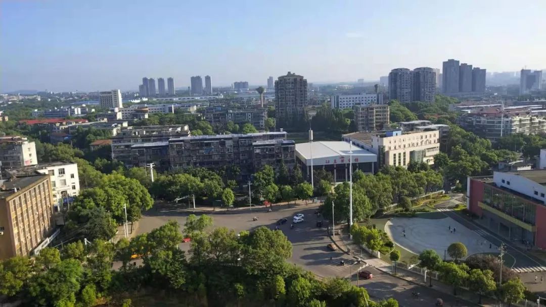 国庆阅兵装甲方队有哪些,国庆阅兵装甲部队