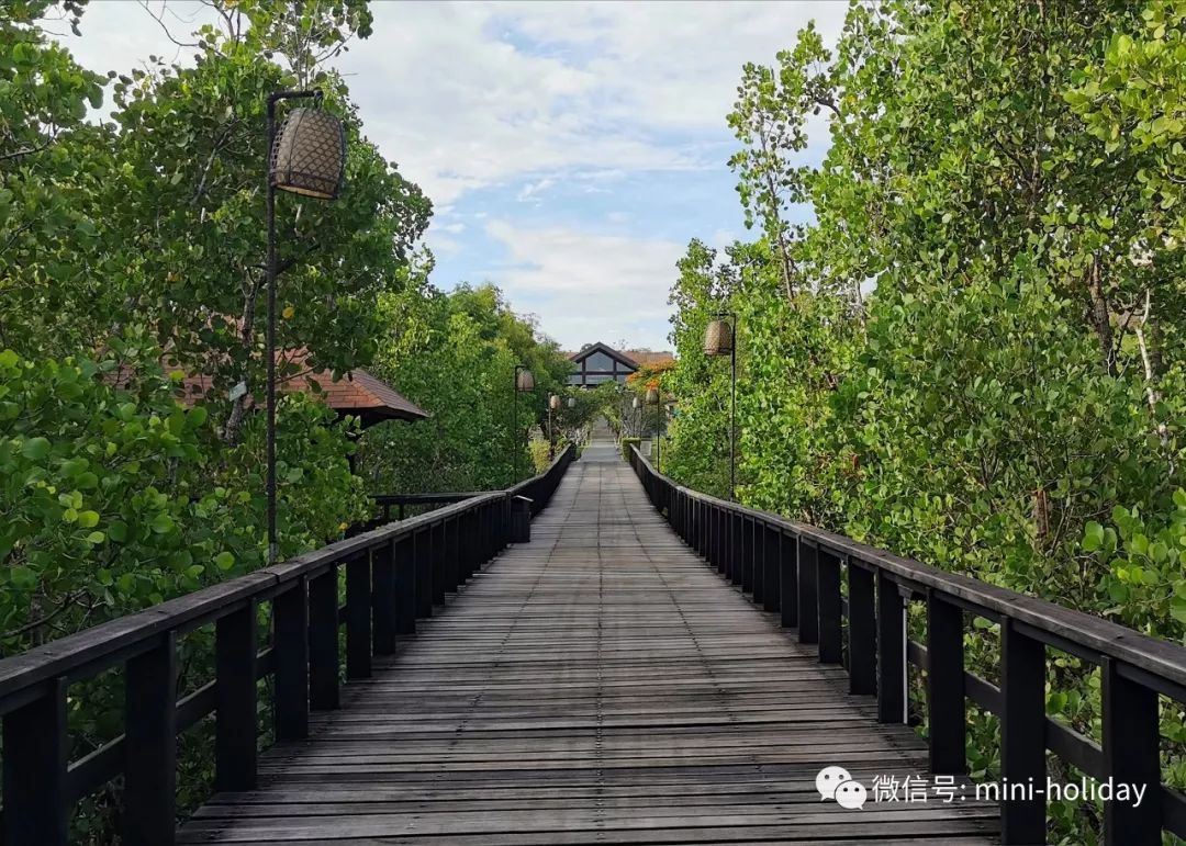 亲历|火山海龟岛屿，盼来武汉直航！“5小时飞行+落地签”身临奇境「398」