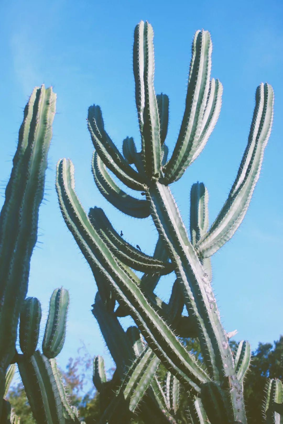 厦门网红景点拍照技巧,厦门金沙湾婚纱摄影基地拍照好看