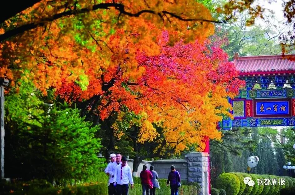 城市档案电视剧,城市档案回忆