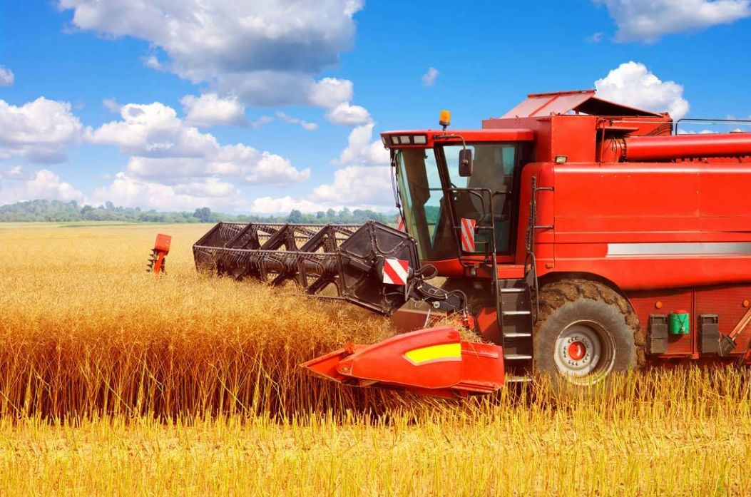 利润很吓人的100个冷门创业项目,一天1000元利润的创业项目