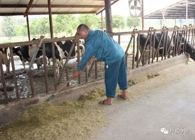 叶县脱贫与乡村振兴有效衔接,乡村振兴可以去做点什么