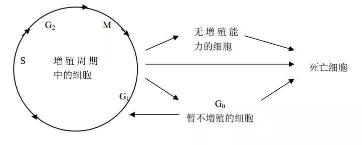 骨髓瘤有生命危险可以治疗吗,骨髓瘤晚期增加营养会延长寿命吗