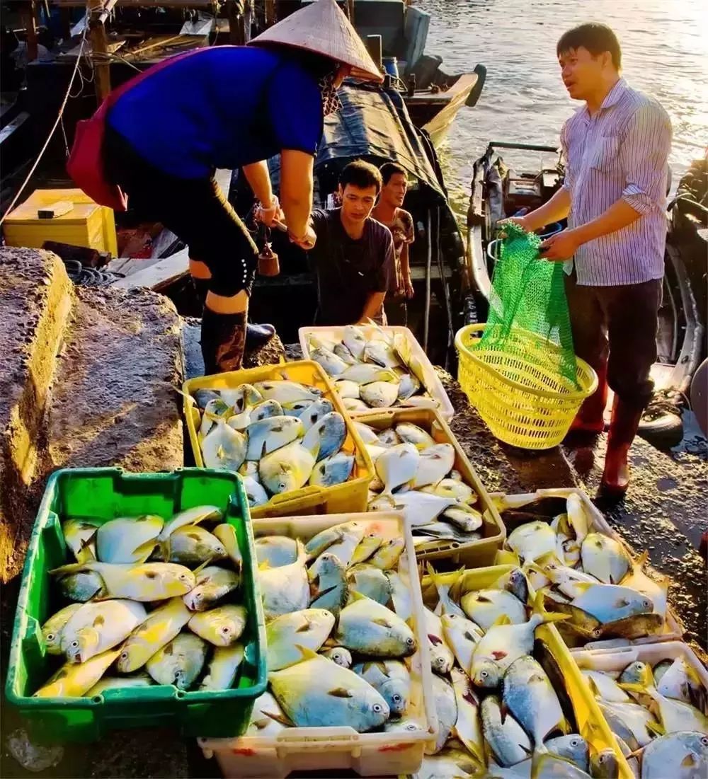 提醒吃海鲜的人们,广西开海节吃海鲜