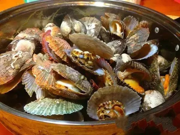 提醒吃海鲜的人们,广西开海节吃海鲜